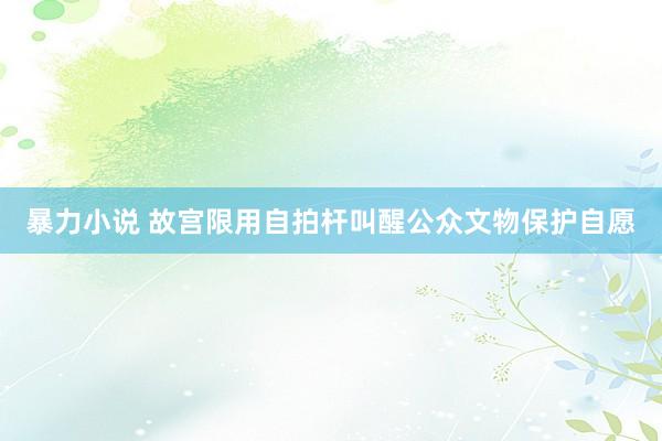 暴力小说 故宫限用自拍杆叫醒公众文物保护自愿