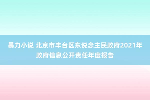 暴力小说 北京市丰台区东说念主民政府2021年政府信息公开责任年度报告