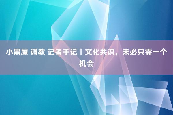 小黑屋 调教 记者手记丨文化共识，未必只需一个机会