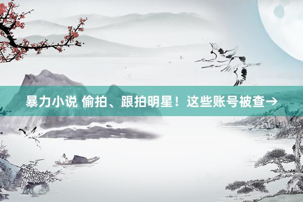 暴力小说 偷拍、跟拍明星！这些账号被查→
