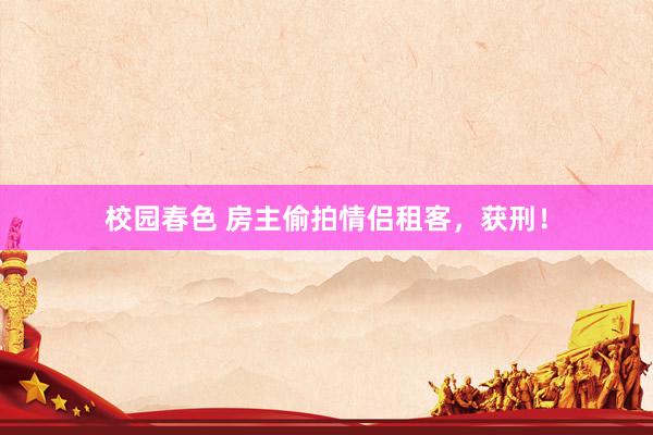 校园春色 房主偷拍情侣租客，获刑！