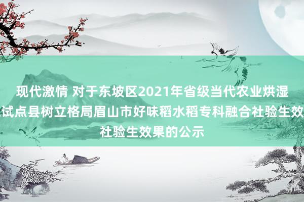 现代激情 对于东坡区2021年省级当代农业烘湿热链物流试点县树立格局眉山市好味稻水稻专科融合社验生效果的公示