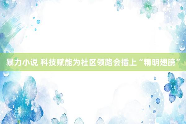 暴力小说 科技赋能为社区领路会插上“精明翅膀”