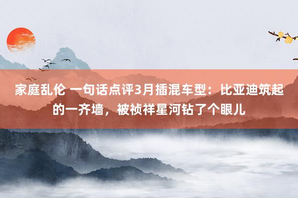 家庭乱伦 一句话点评3月插混车型：比亚迪筑起的一齐墙，被祯祥星河钻了个眼儿