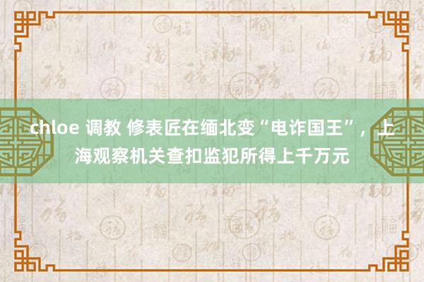 chloe 调教 修表匠在缅北变“电诈国王”，上海观察机关查扣监犯所得上千万元