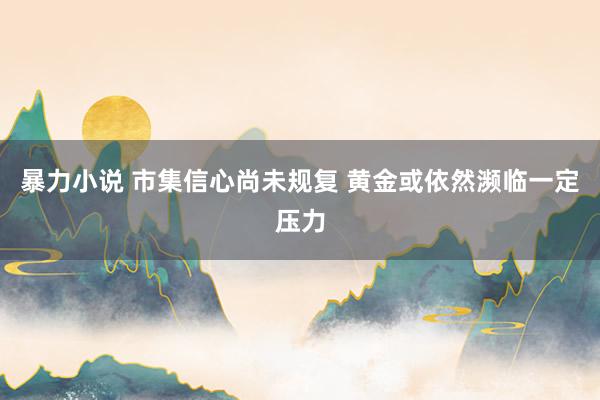 暴力小说 市集信心尚未规复 黄金或依然濒临一定压力