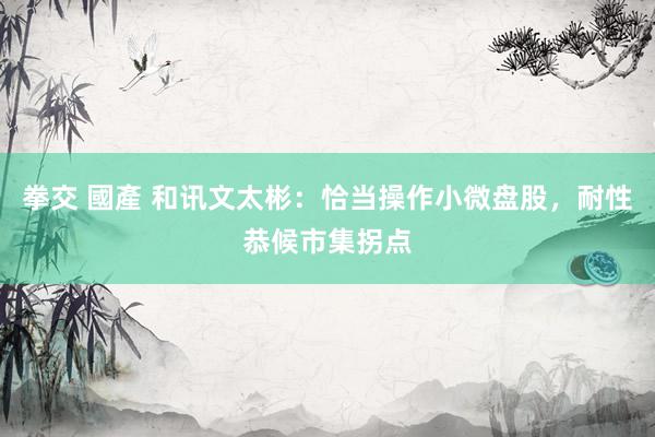 拳交 國產 和讯文太彬：恰当操作小微盘股，耐性恭候市集拐点