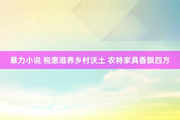 暴力小说 税惠滋养乡村沃土 农特家具香飘四方