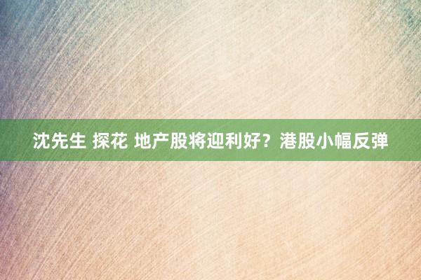 沈先生 探花 地产股将迎利好？港股小幅反弹