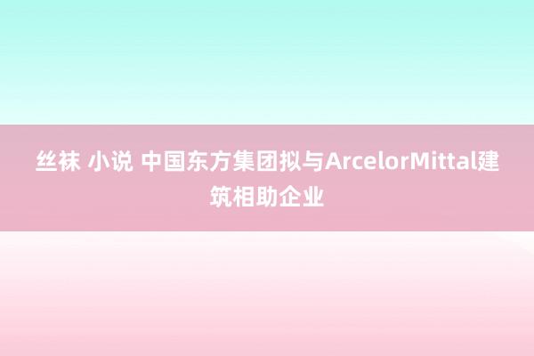 丝袜 小说 中国东方集团拟与ArcelorMittal建筑相助企业