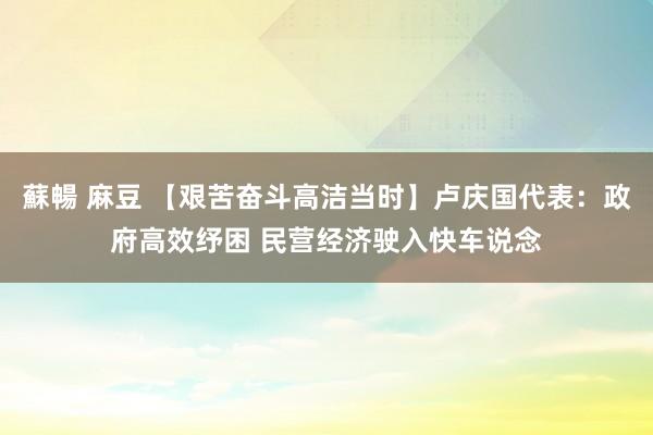 蘇暢 麻豆 【艰苦奋斗高洁当时】卢庆国代表：政府高效纾困 民营经济驶入快车说念