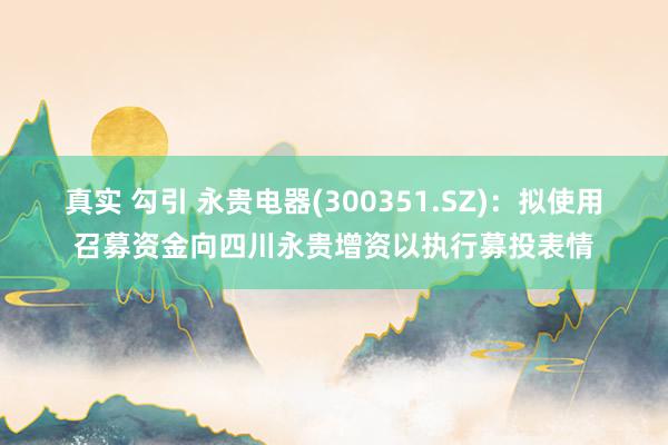 真实 勾引 永贵电器(300351.SZ)：拟使用召募资金向四川永贵增资以执行募投表情
