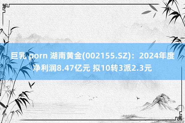 巨乳 porn 湖南黄金(002155.SZ)：2024年度净利润8.47亿元 拟10转3派2.3元